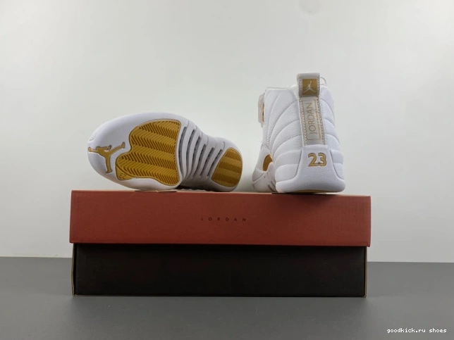 Rep WMNS Air 12 Jordan Phantom FD9101-007 0717